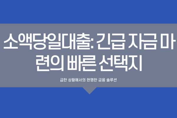 소액당일대출