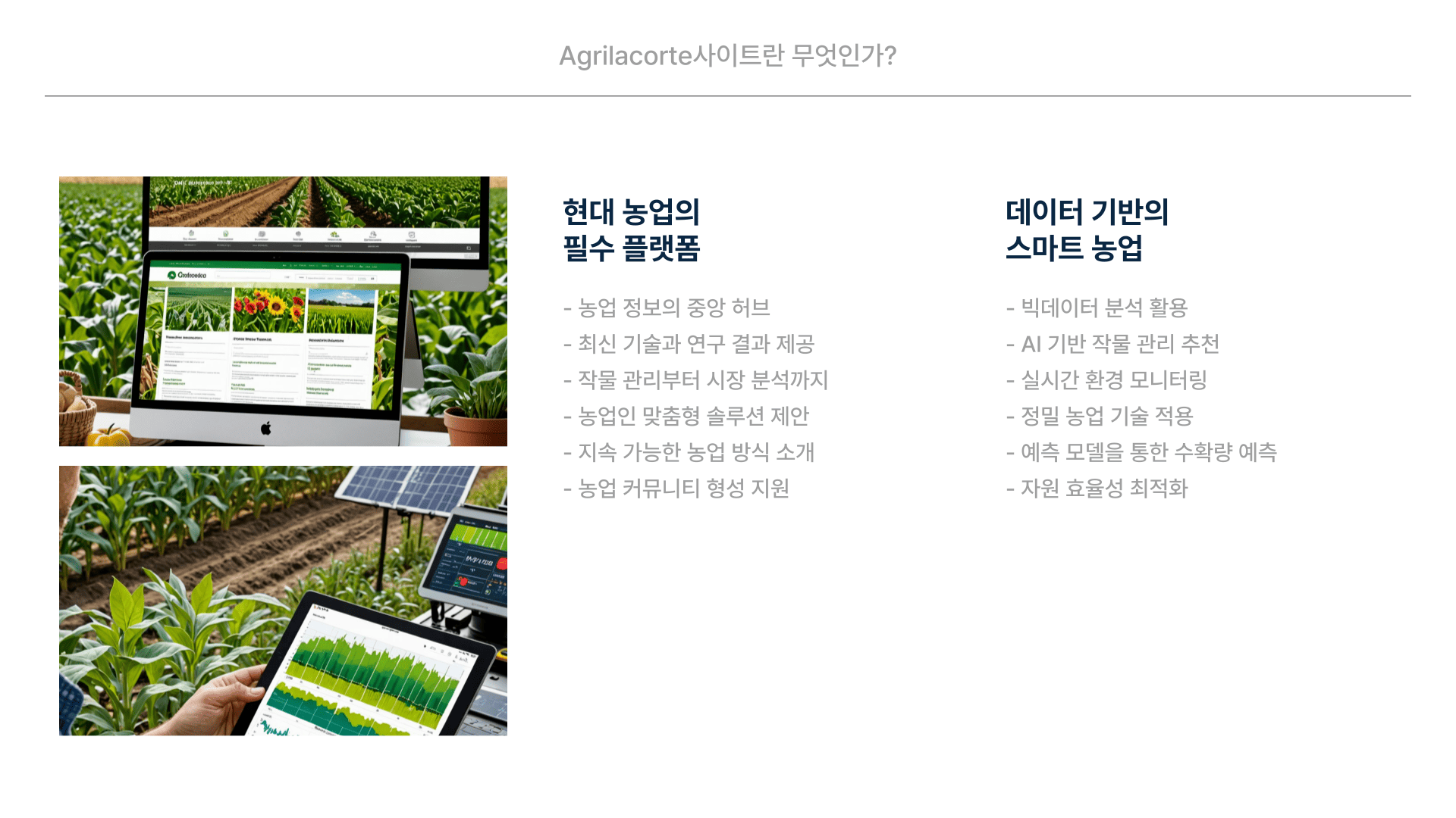 Agrilacorte사이트